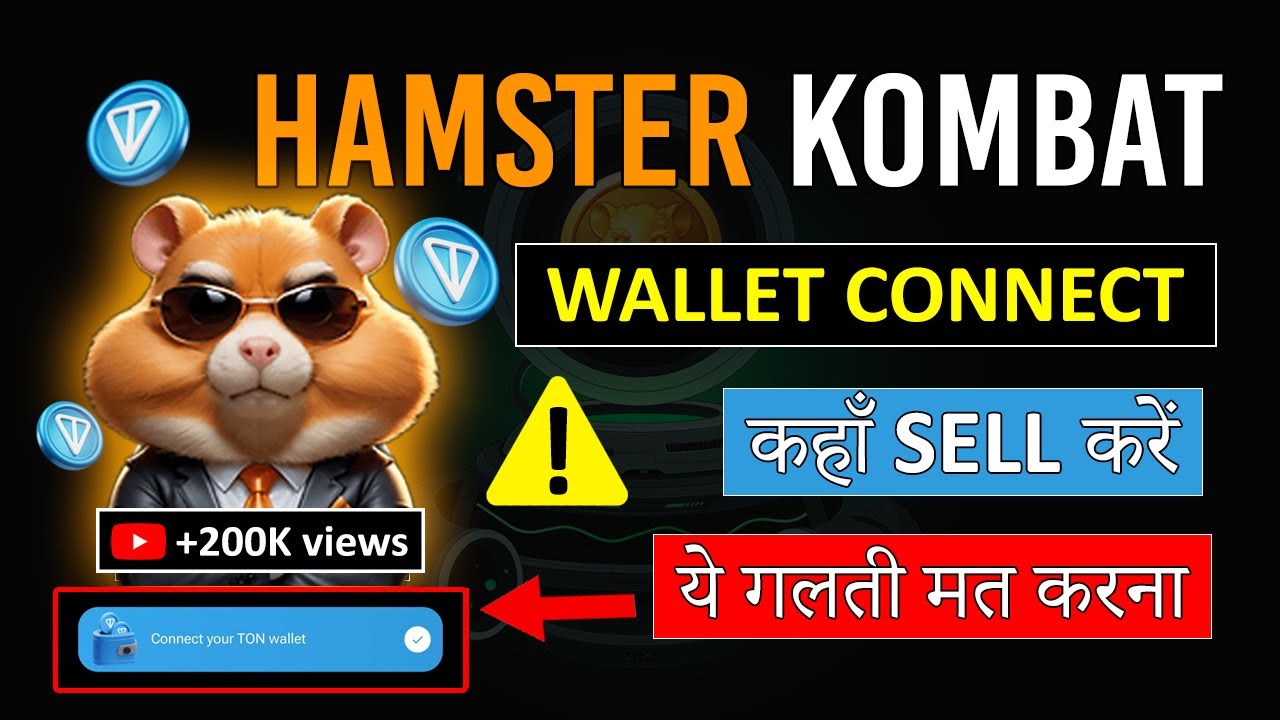 Hamster kombat step by step ton wallet connect | Do this now big update in hindi