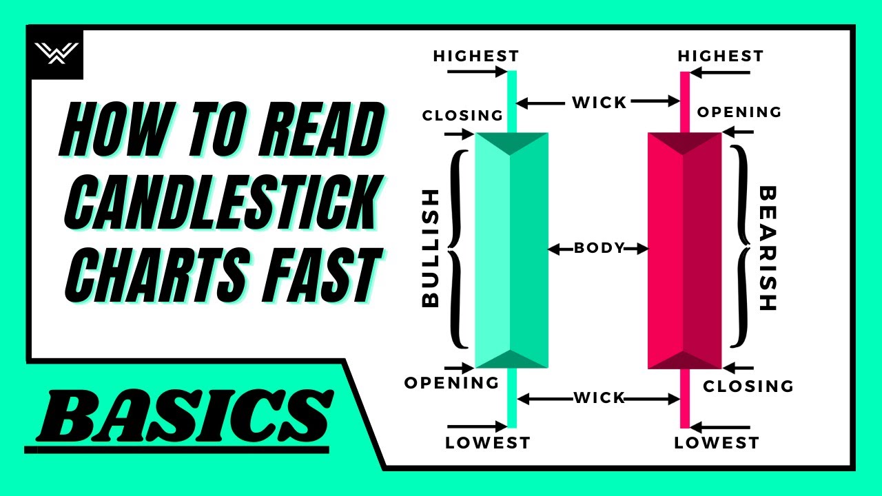 How To Read Candlestick Charts FAST (Beginner’s Guide)