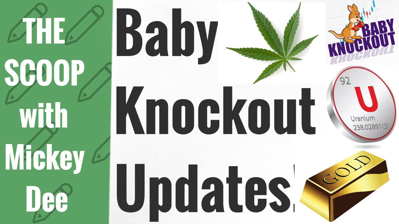 Baby Knockouts Updates – URANIUM / CANNABIS / GOLD / BITCOIN / Dollars Flood Out of Technology!