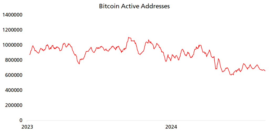 Bitcoin Active Addresses Fast Dropping: Blame Spot ETFs?