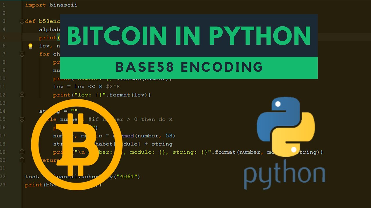 Base58 encoding in python (bitcoin)