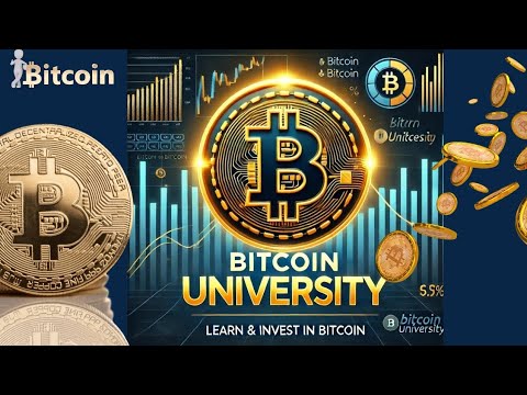 Bitcoin University The Best YouTube Channel for Crypto Education and News | Investment 24