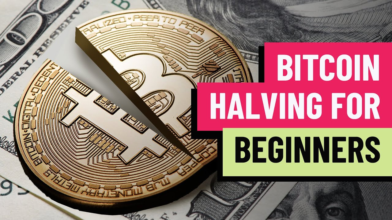 Bitcoin halving for beginners: How the process works, impacts price of BTC