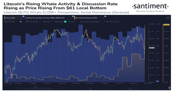 Litecoin Sees Massive Surge In Whale Activity: Price Surge Incoming?