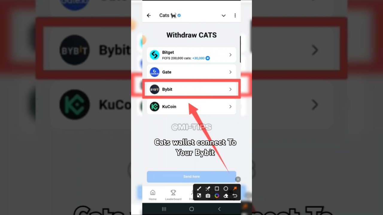 Cats wallet connect To Your Bybit