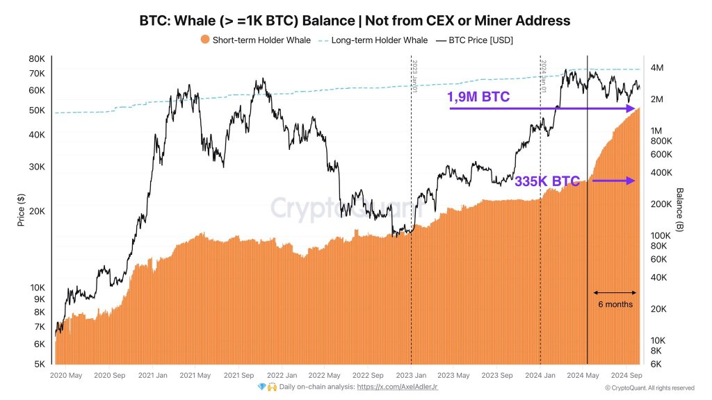 Bitcoin Whales Buy Over 1.5 Million BTC In 6 Months: A Mega Rally Incoming?