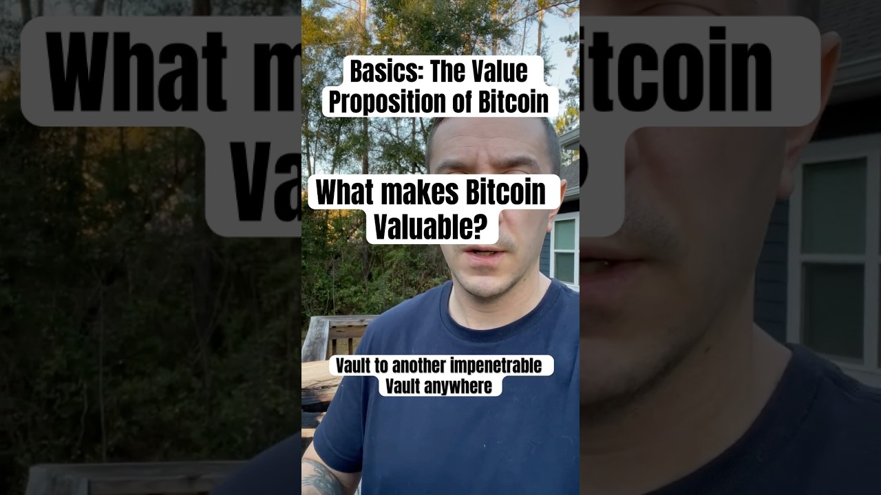 Basics: What makes Bitcoin valuable? Bitcoin’s value proposition. #bitcoin #crypto #hodl #fyp