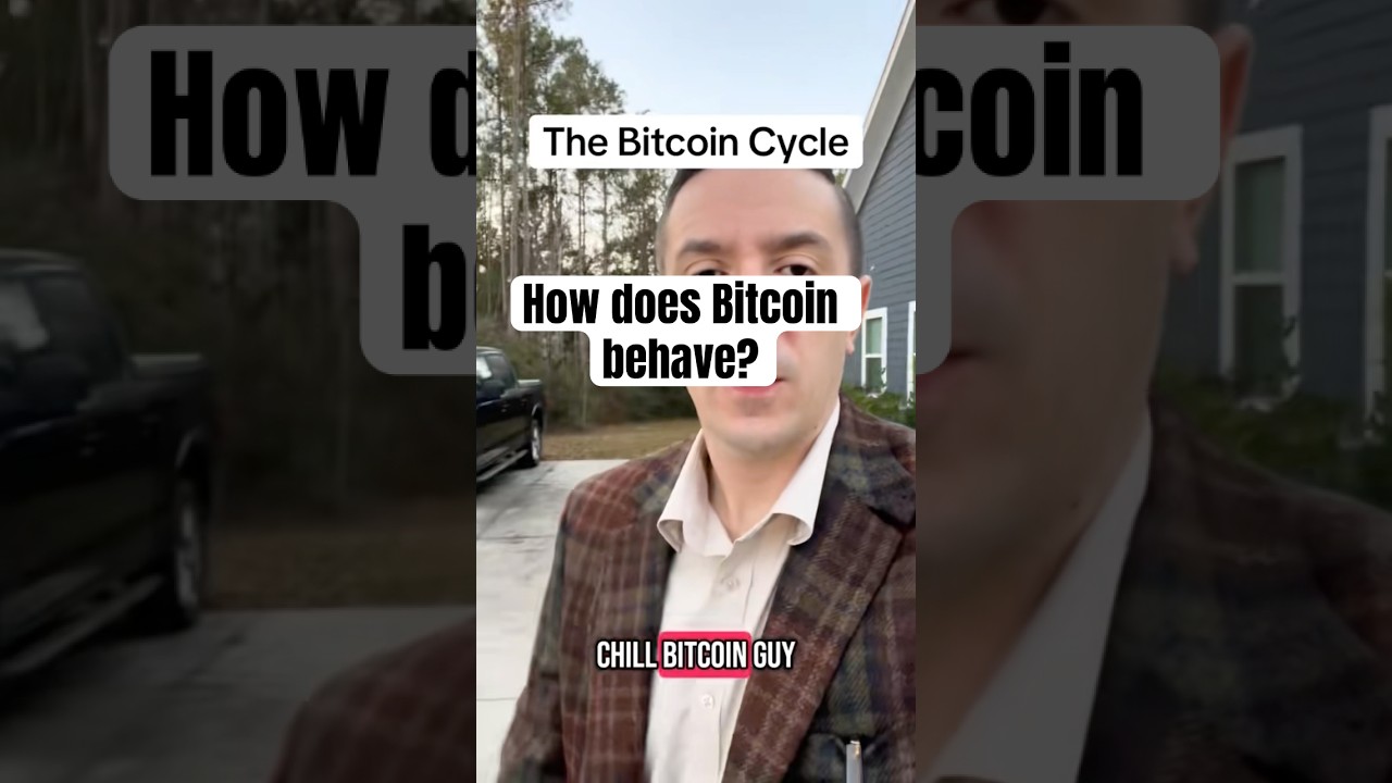 Basics: The Bitcoin Cycle explained. #bitcoin #crypto #hodl #fyp